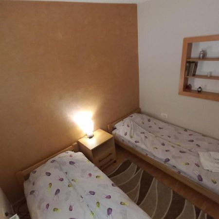 Apartman Ivona Ovcar Banja Exterior foto